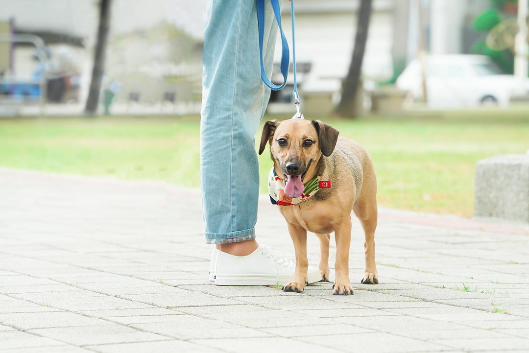 HC1130【京都手作】防潑水京都小白鞋【日本製限量布】【情侶款】